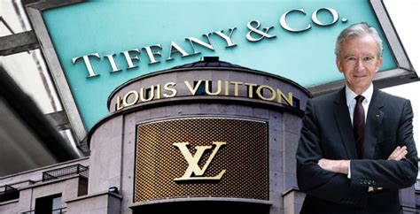 louis vuitton owner n|louis vuitton owned by.